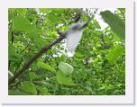 AHCE_Mens 2008_0110 * 2272 x 1704 * (1.49MB)